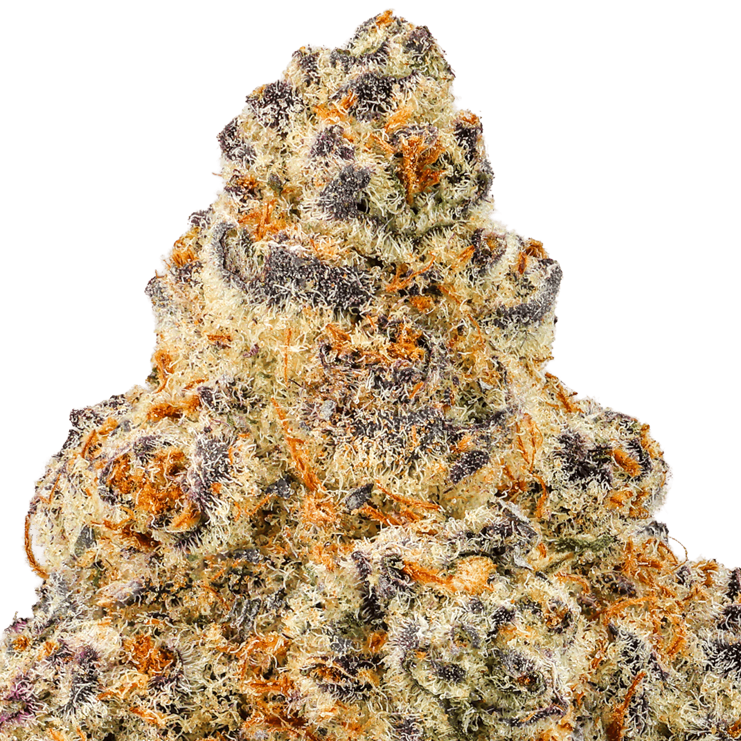 Grape Jelly Strain