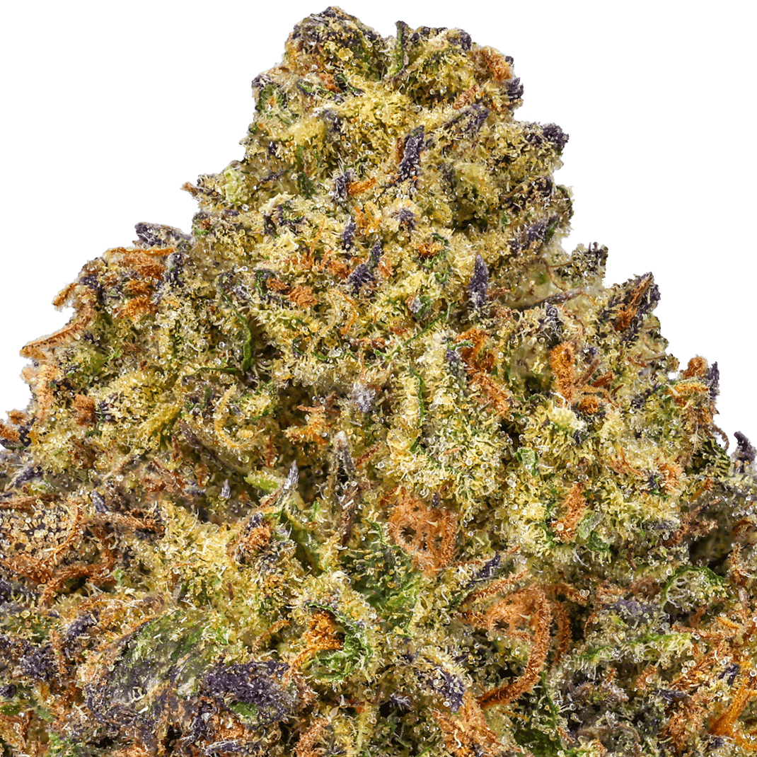 Hooch Haze Strain