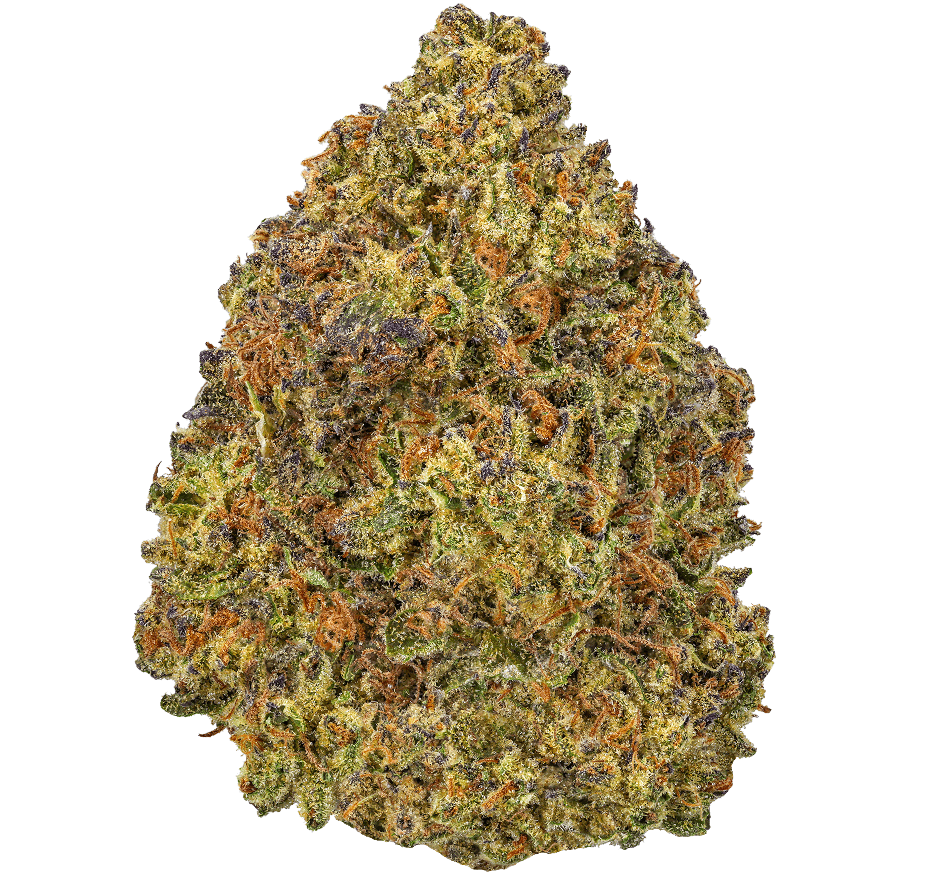 Hooch Haze Strain
