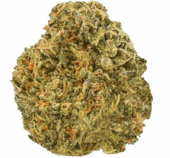Kush Pie Strain