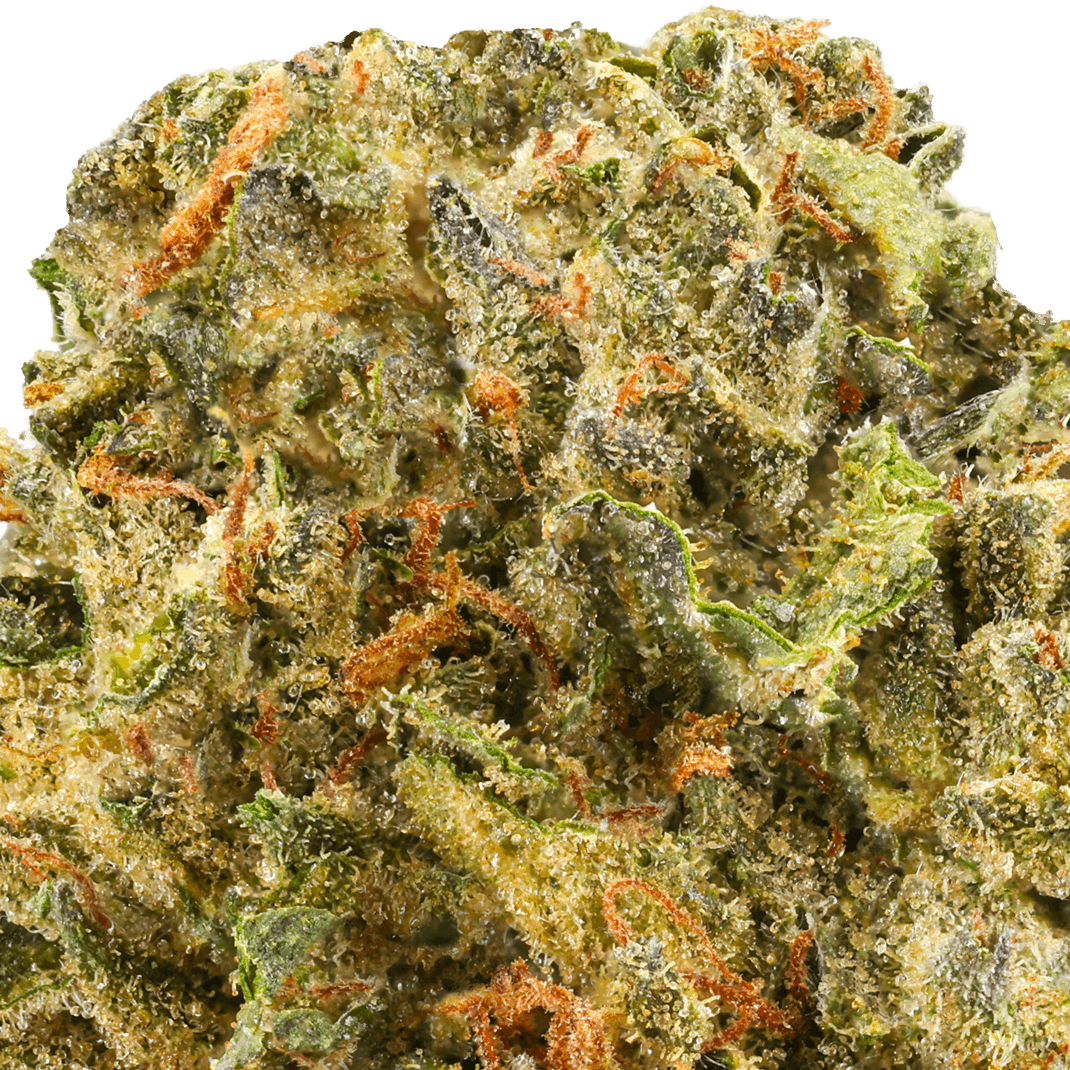 Kush Pie Strain