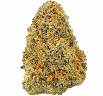 LA Kush Cake Strain