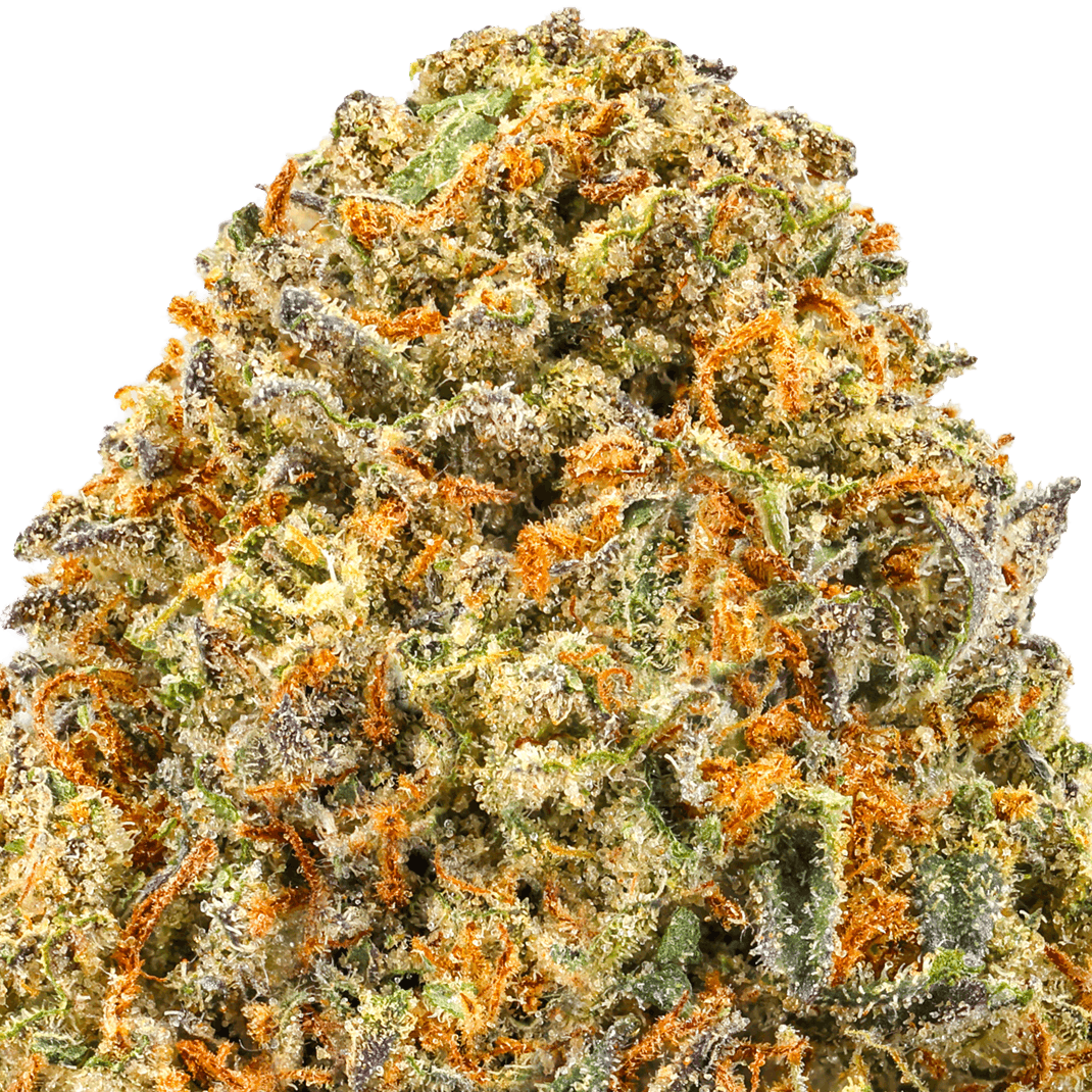 LA-Kush-Cake-Strainmacro LA Kush Cake Strain