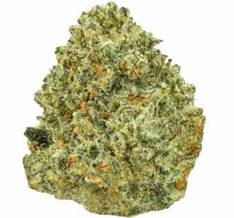 Lambo OG Strain