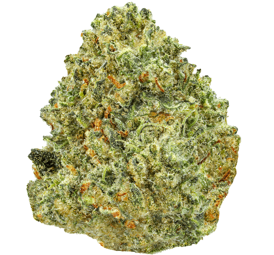 Lambo OG Strain