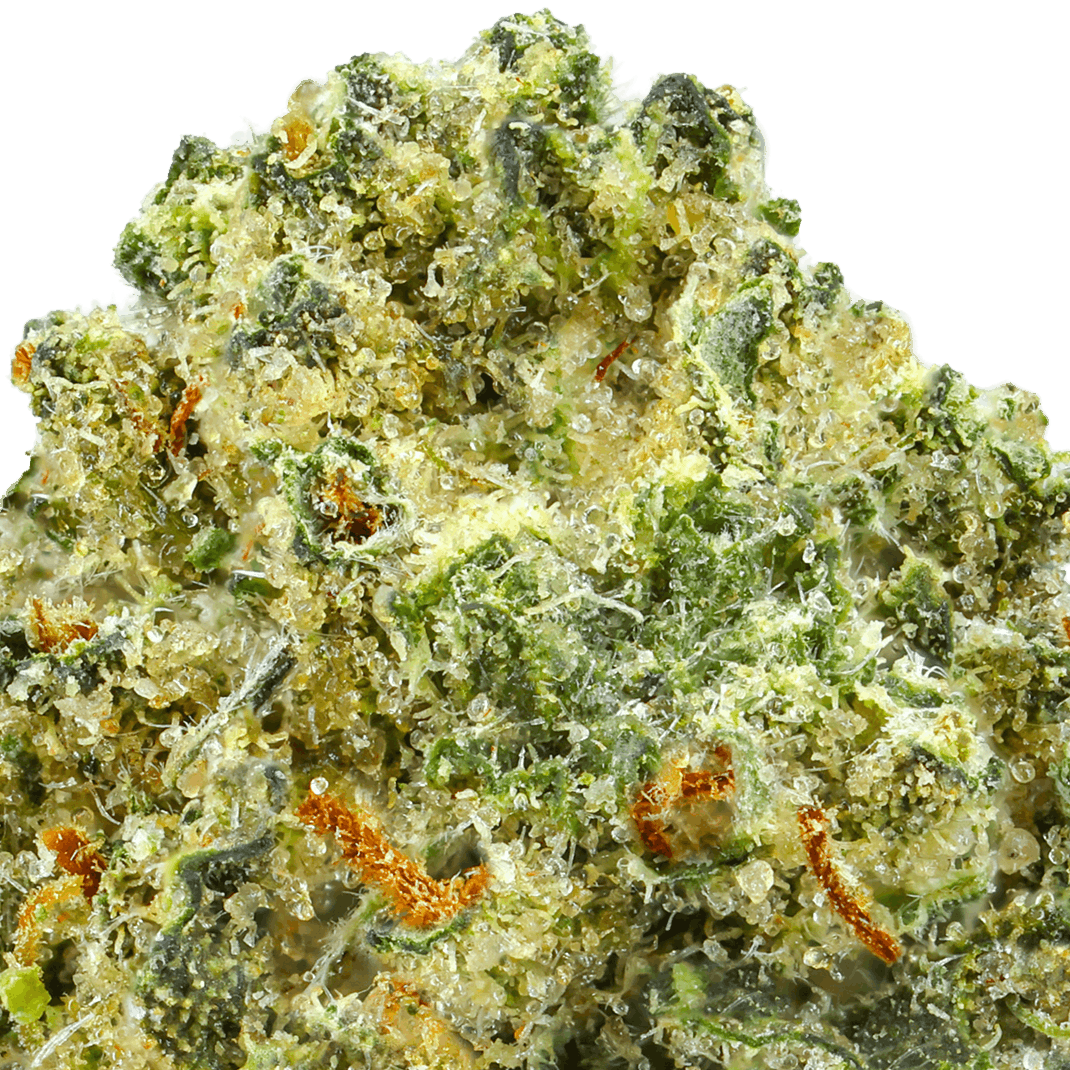 Lambo OG Strain