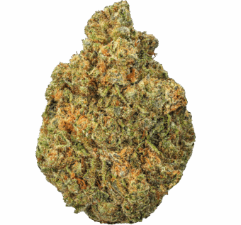 Lemon Cherry Gelato Strain