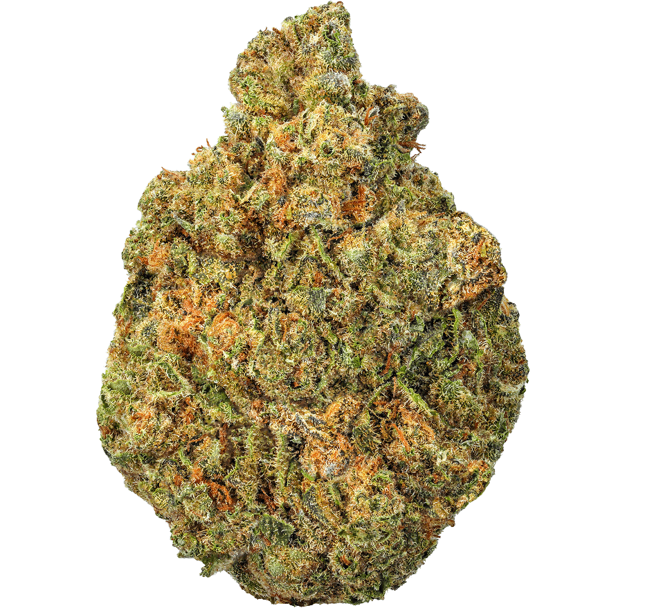 Lemon Cherry Gelato Strain