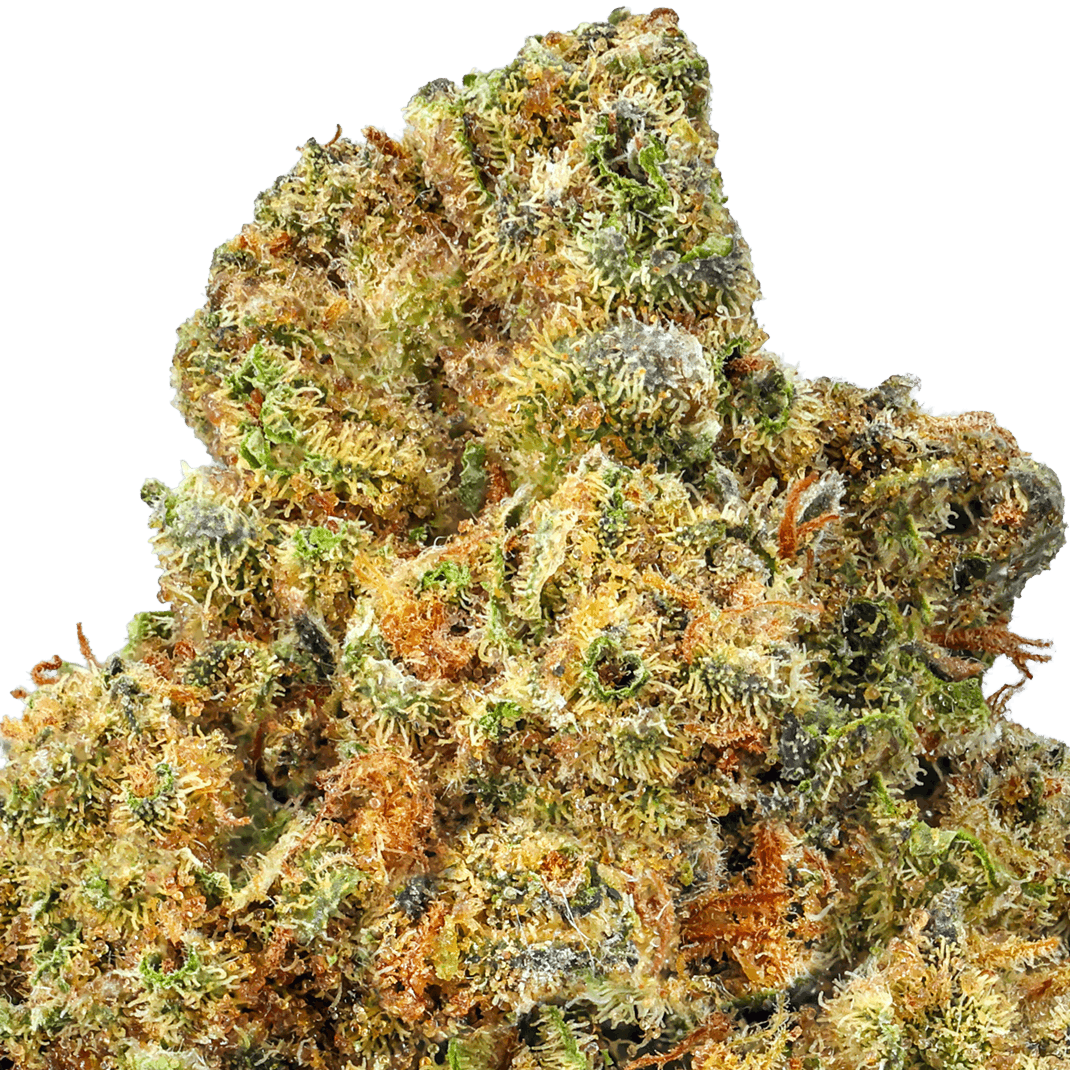 Lemon Cherry Gelato Strain