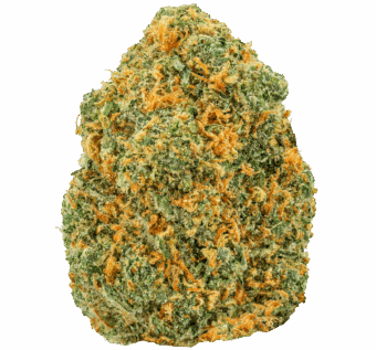 Lemon Skunk Strain