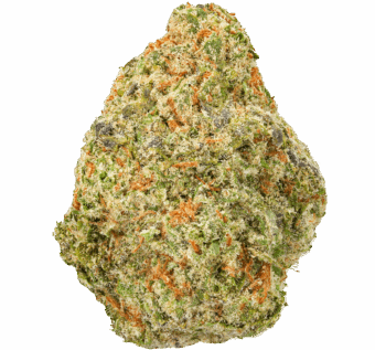 Papaya Punch Strain