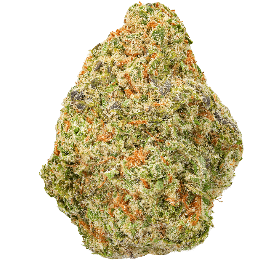 Papaya Punch Strain