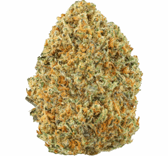 Sand Castles Strain