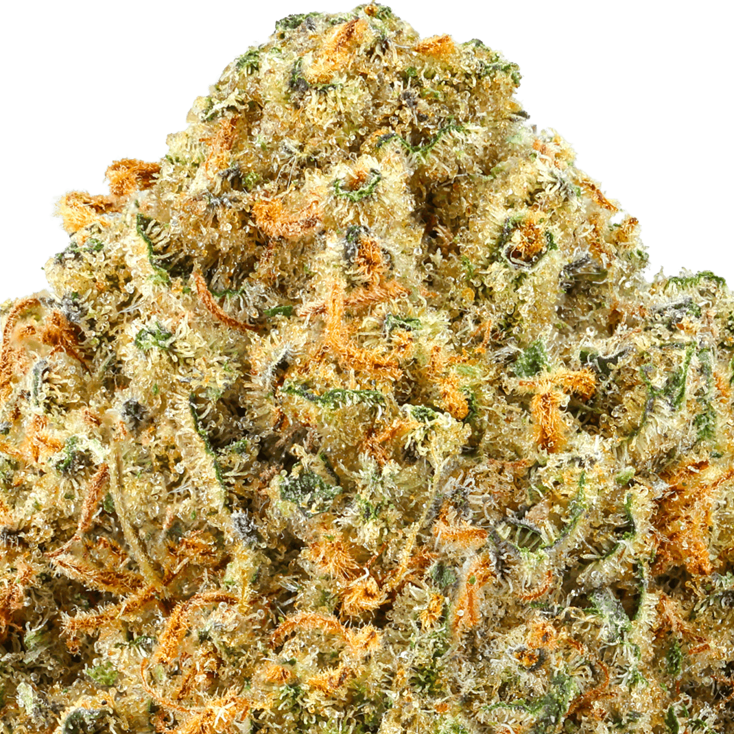 Sand Castles Strain
