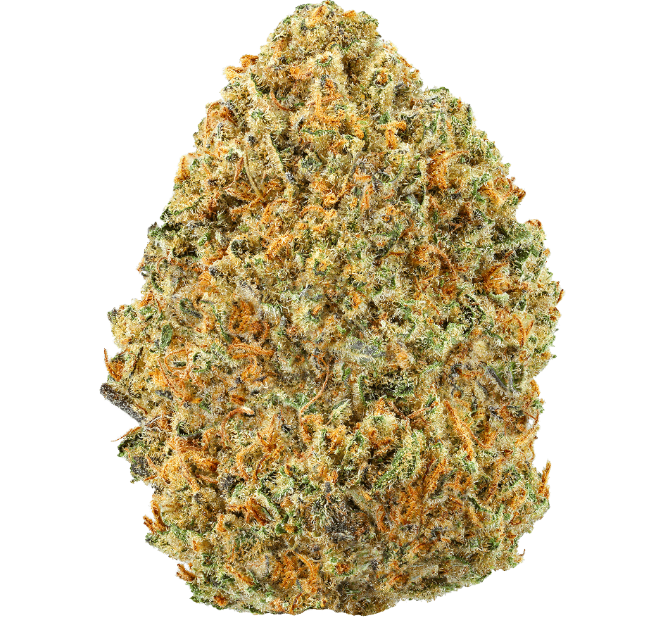 Sand Castles Strain