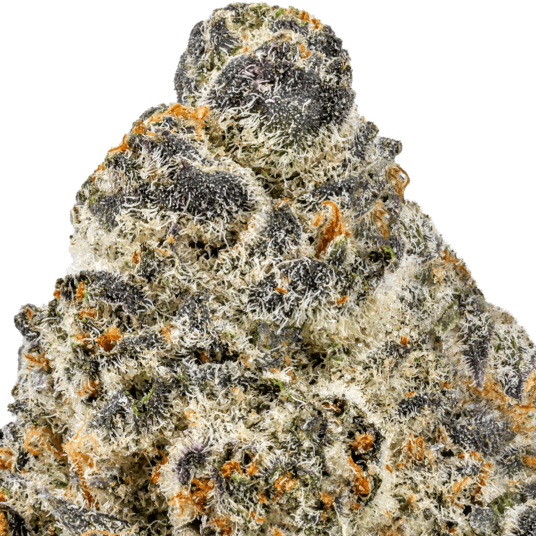 Secret Cookies Strain
