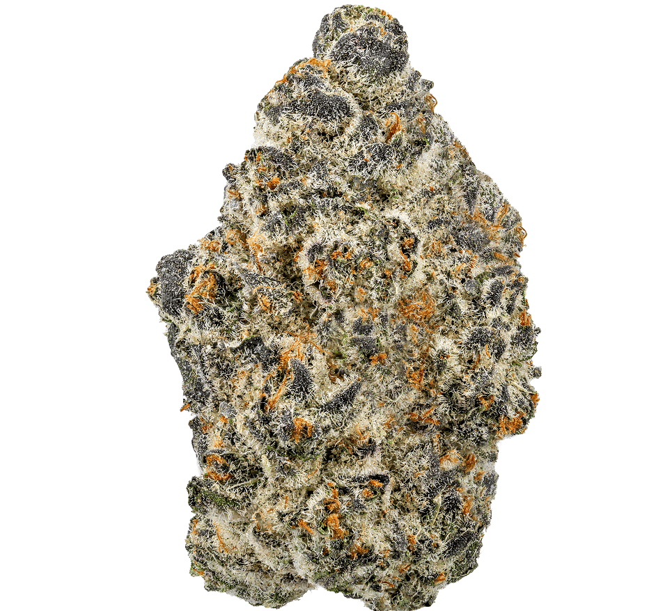 Secret Cookies Strain