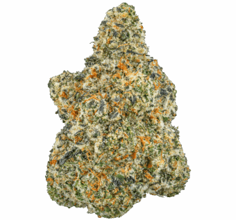 Space Pop Strain