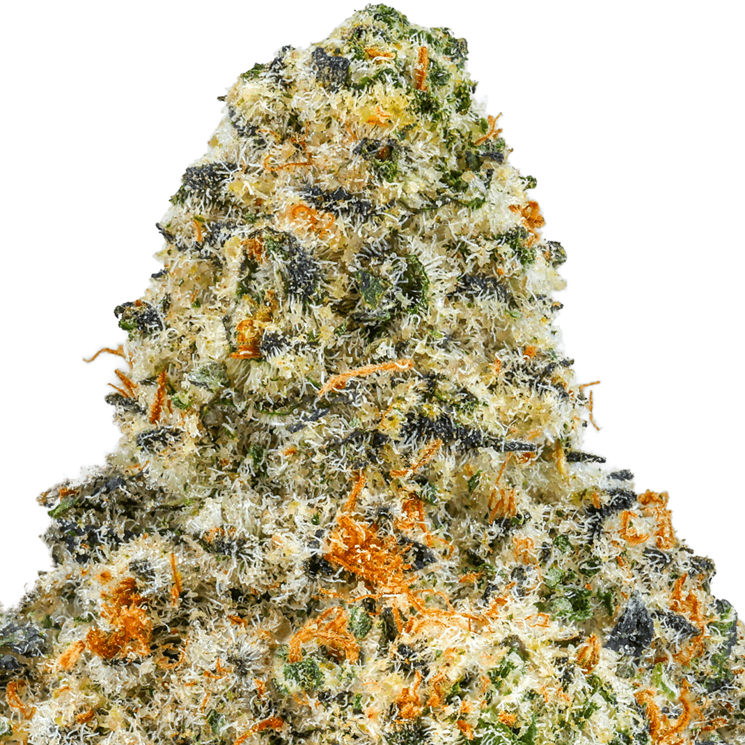 Space Pop Strain