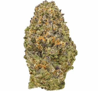 Supernova Strain
