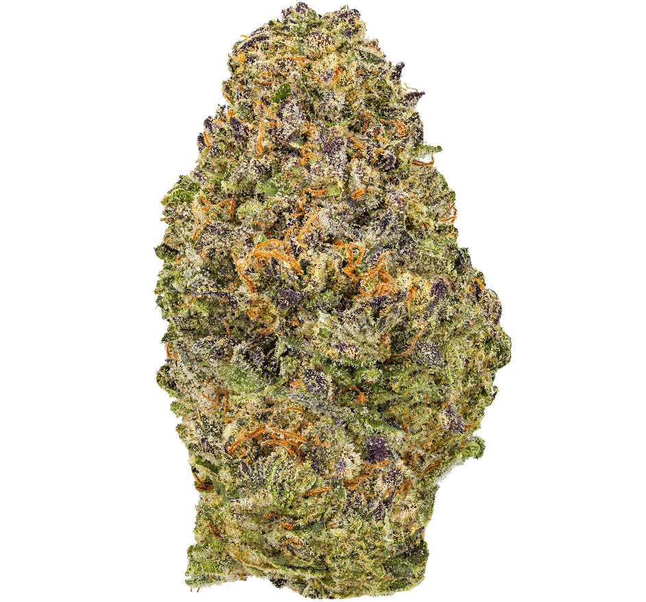 Supernova Strain