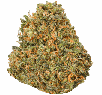 The Claw Strain