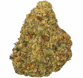 White Chocolate Chip Strain