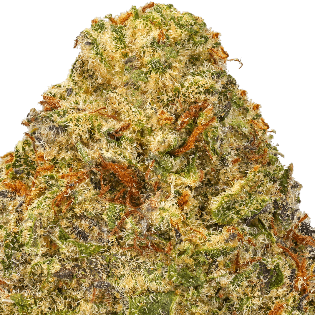 White-Chocolate-Chip-Strain-macro White Chocolate Chip Strain