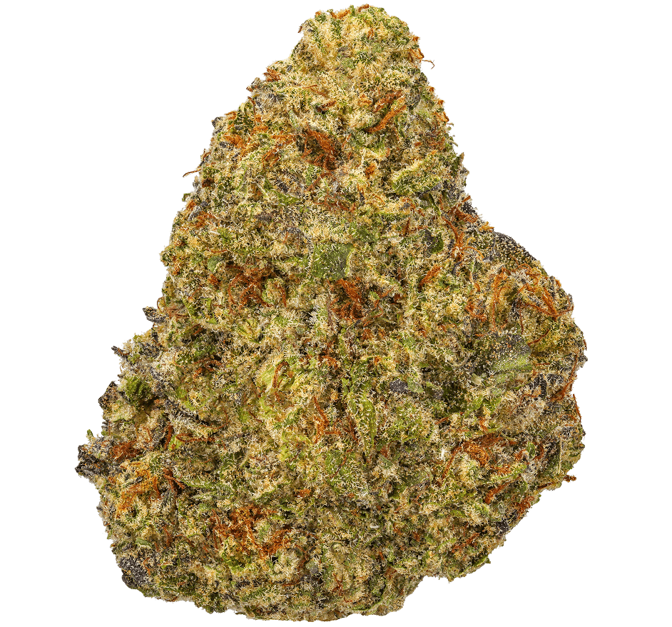 White-Chocolate-Chip-Strain White Chocolate Chip Strain