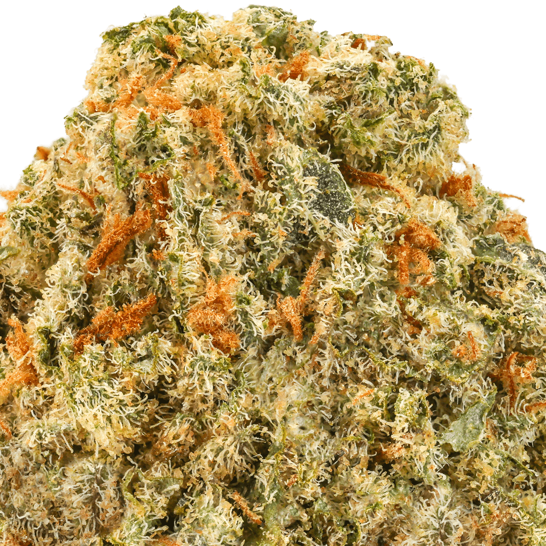 24K Gold Strain