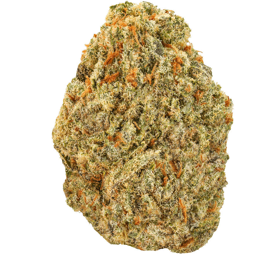 24K Gold Strain