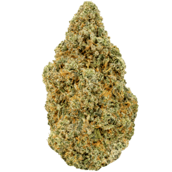 Apricot-Scones-Strain Apricot Scones Strain