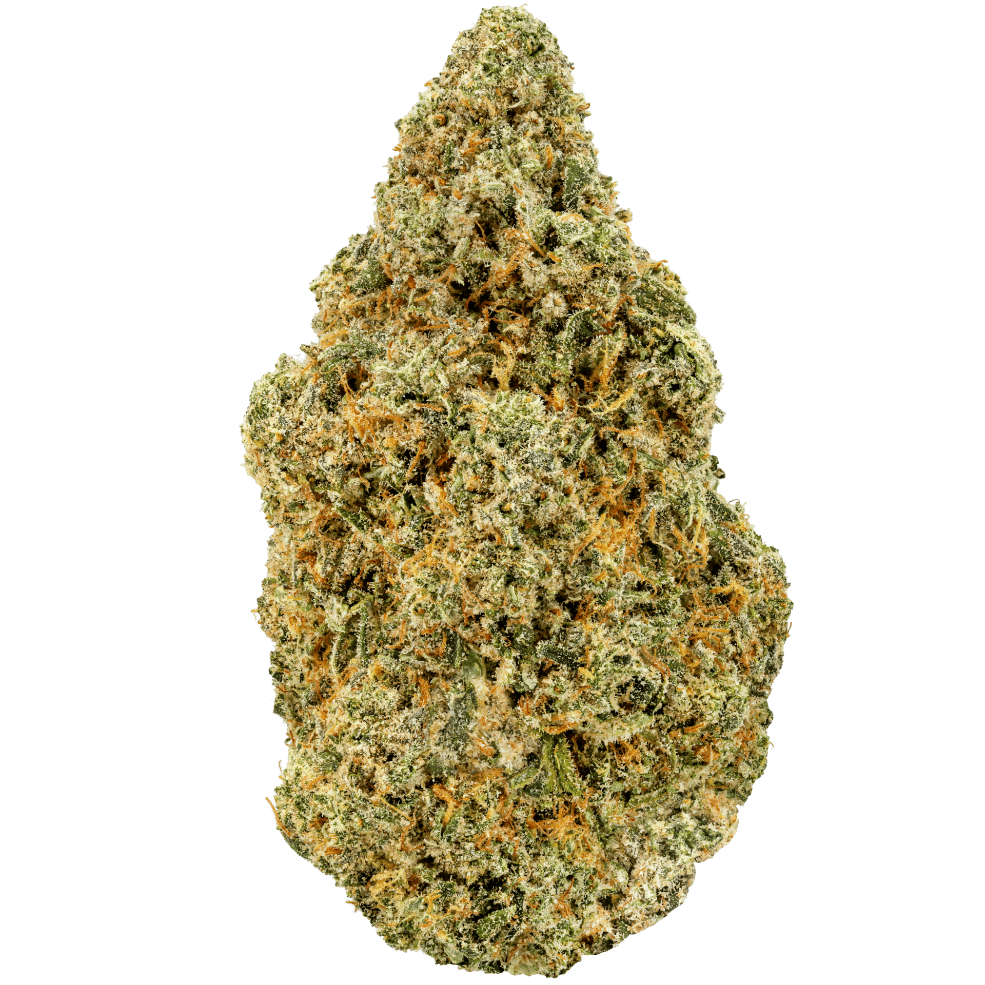 Apricot Scones Strain