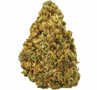 Blue Dream Strain