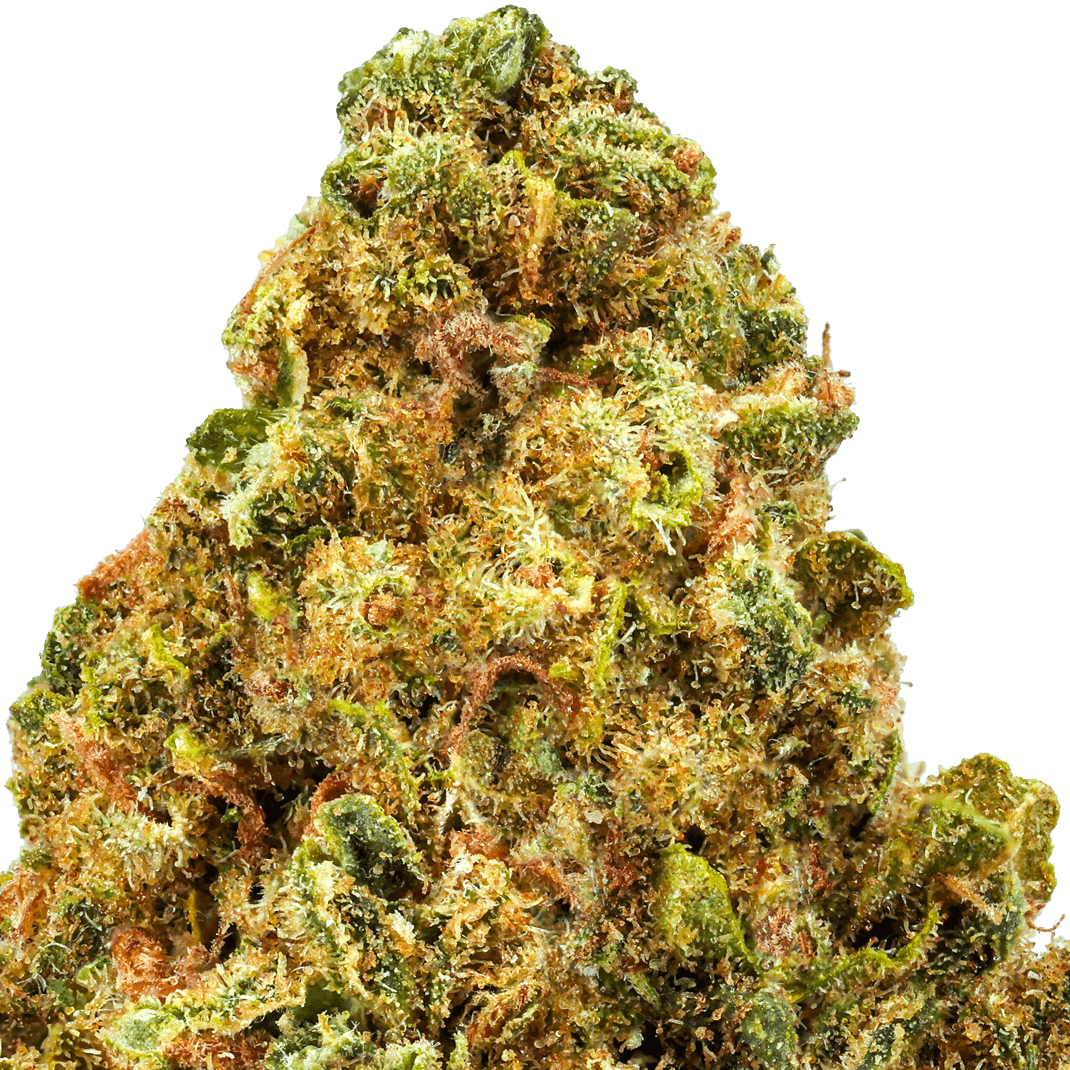 Blue Dream Strain