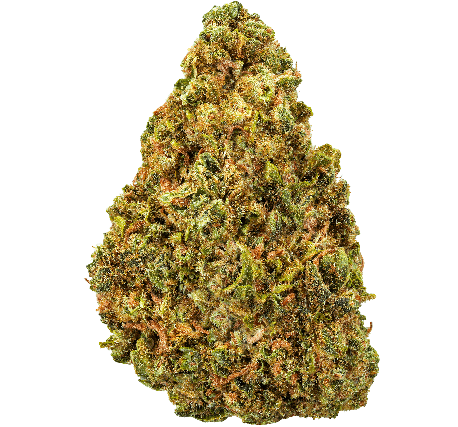 Blue Dream Strain