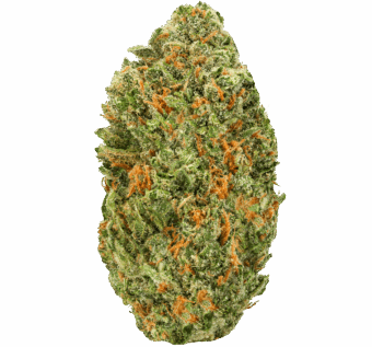 Blue Dream Strain