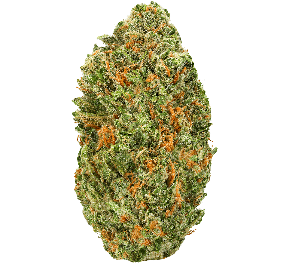 Blue Dream Strain