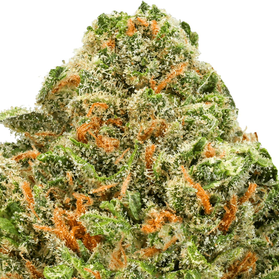 Blue Dream Strain