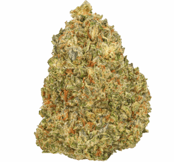 Blue-Nerdz-Strain (1) Blue Nerdz Strain