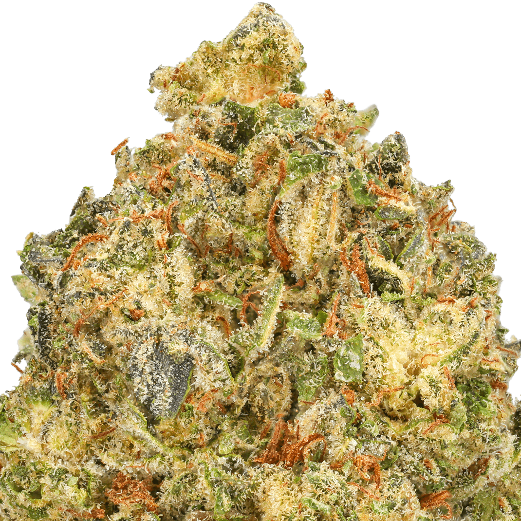 Blue Nerdz Strain