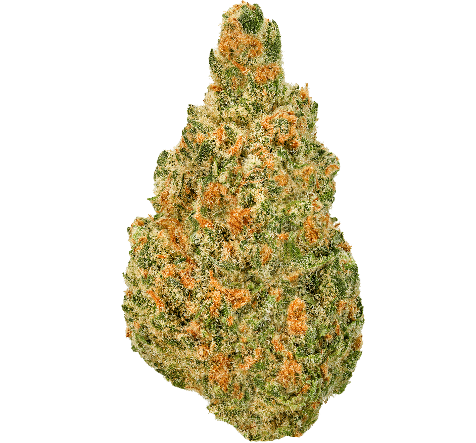 Blueberry Skunk Strain