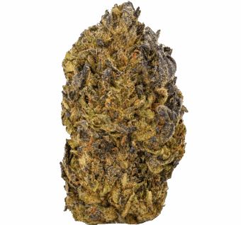 Blueberry Zkittles Strain