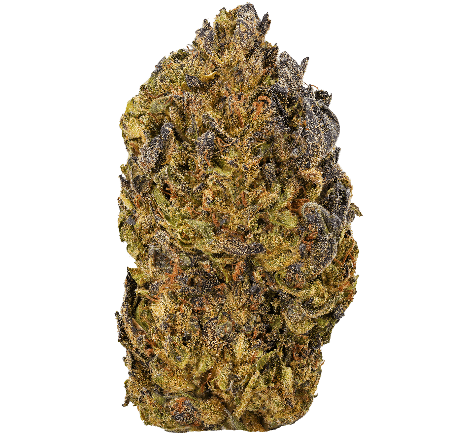 Blueberry Zkittles Strain