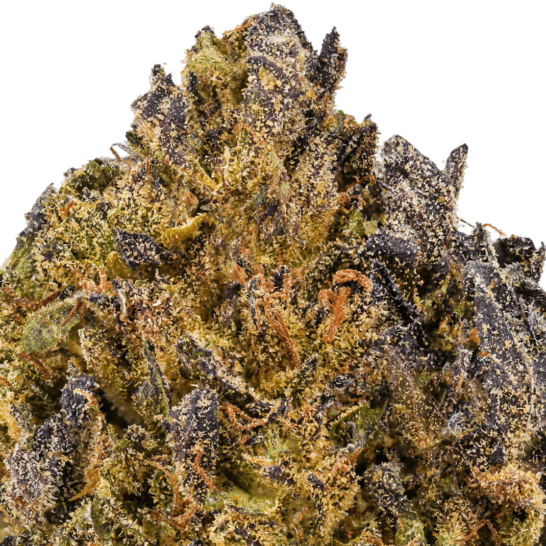 Blueberry Zkittles Strain