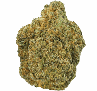 Candy Gas Strain