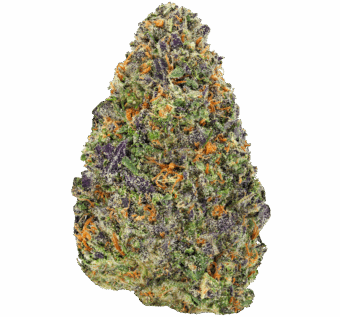 Cosmic Runtz Strain