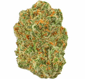 Dream-Walker-Strain Dream Walker Strain