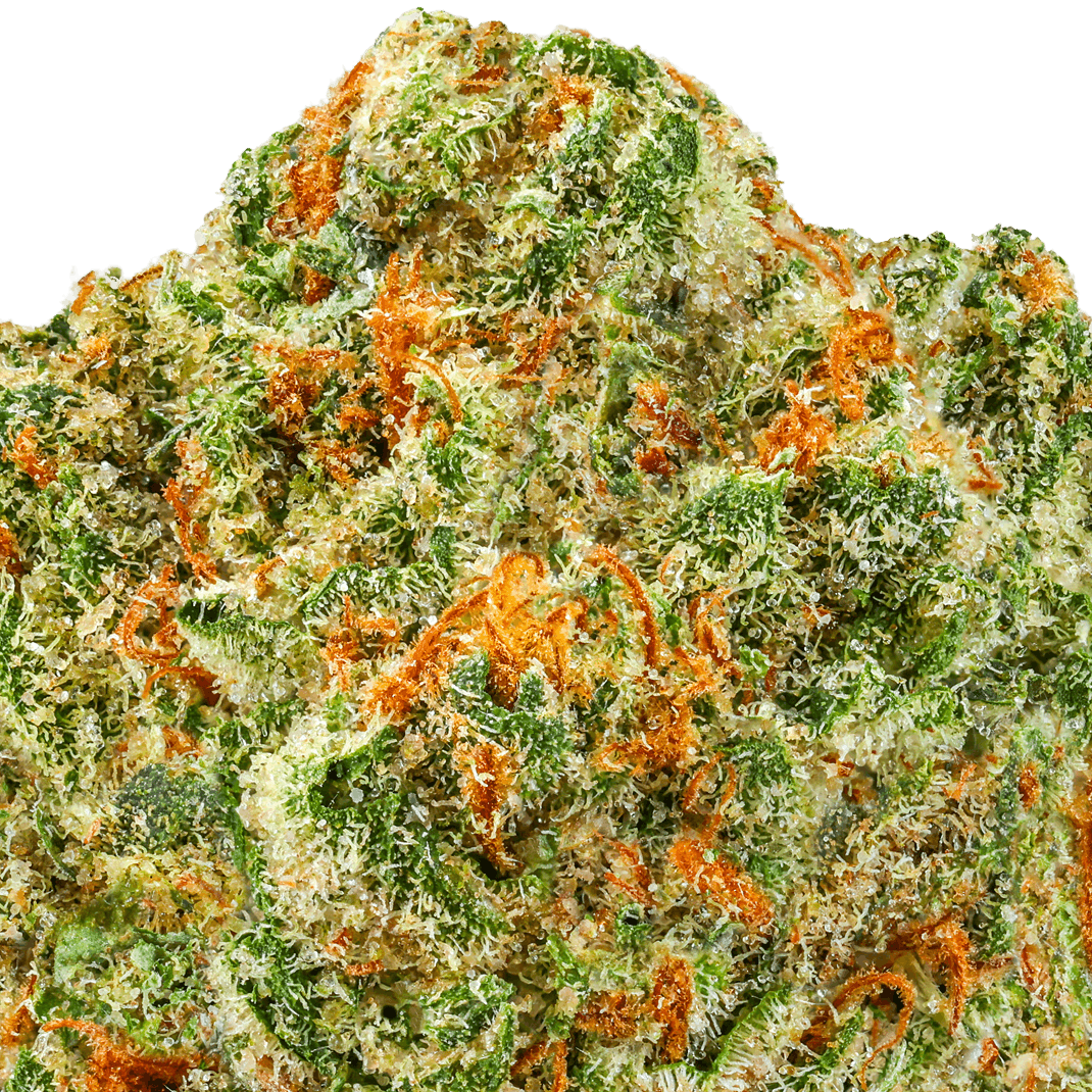 Dream Walker Strain
