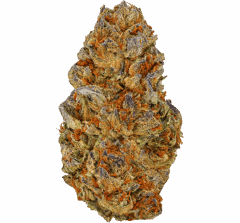 Gelato-41-Strain (6) Gelato 41 Strain